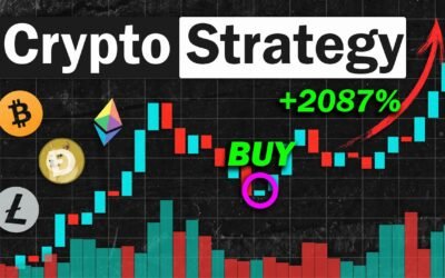 Beyond Bitcoin Buy & Hold: Top Bitcoin Trading Strategies Explored